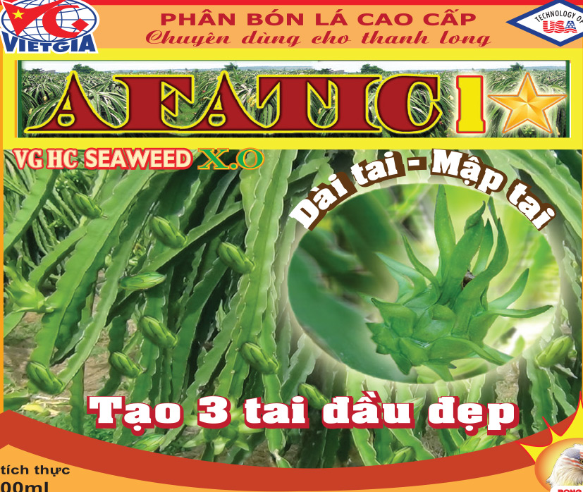 AFATIC - 1 SAO Thanh Long