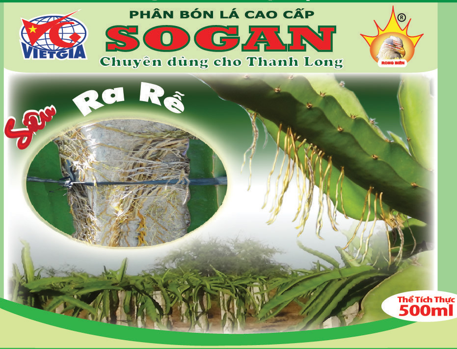SOGAN - Thanh long
