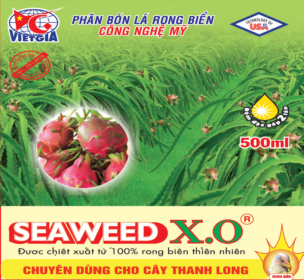 SEAWEED X.O Thanh Long